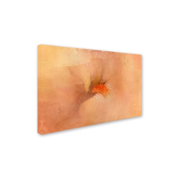 Jai Johnson 'Birth Of The Peach Iris' Canvas Art,22x32